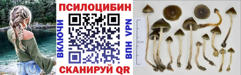 Псилоцибиновые грибы Cubensis Керчь